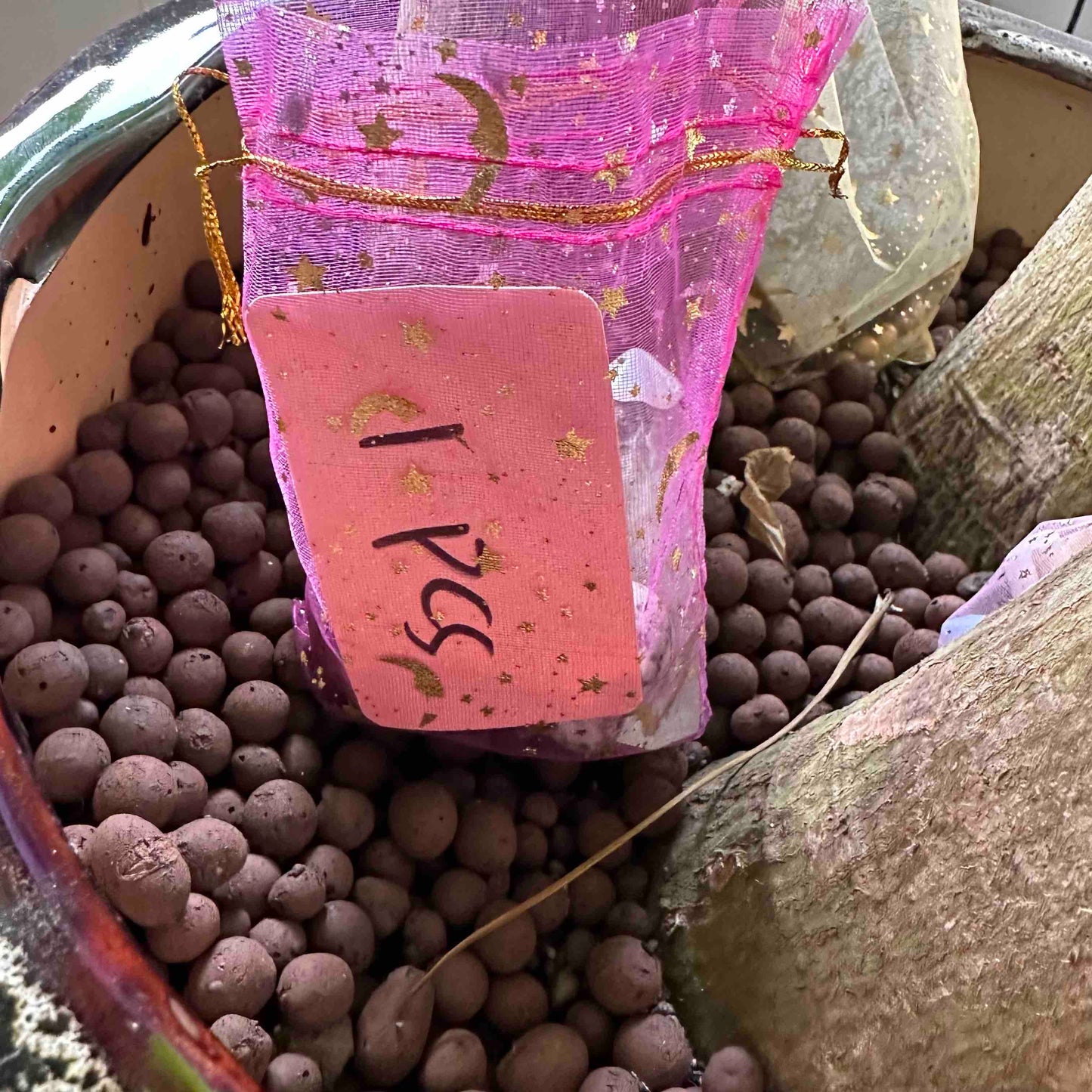 Treasure Hunt - 1 Pcs Crystal $14.99 - Free Shipping - HighlandCrystal Anew