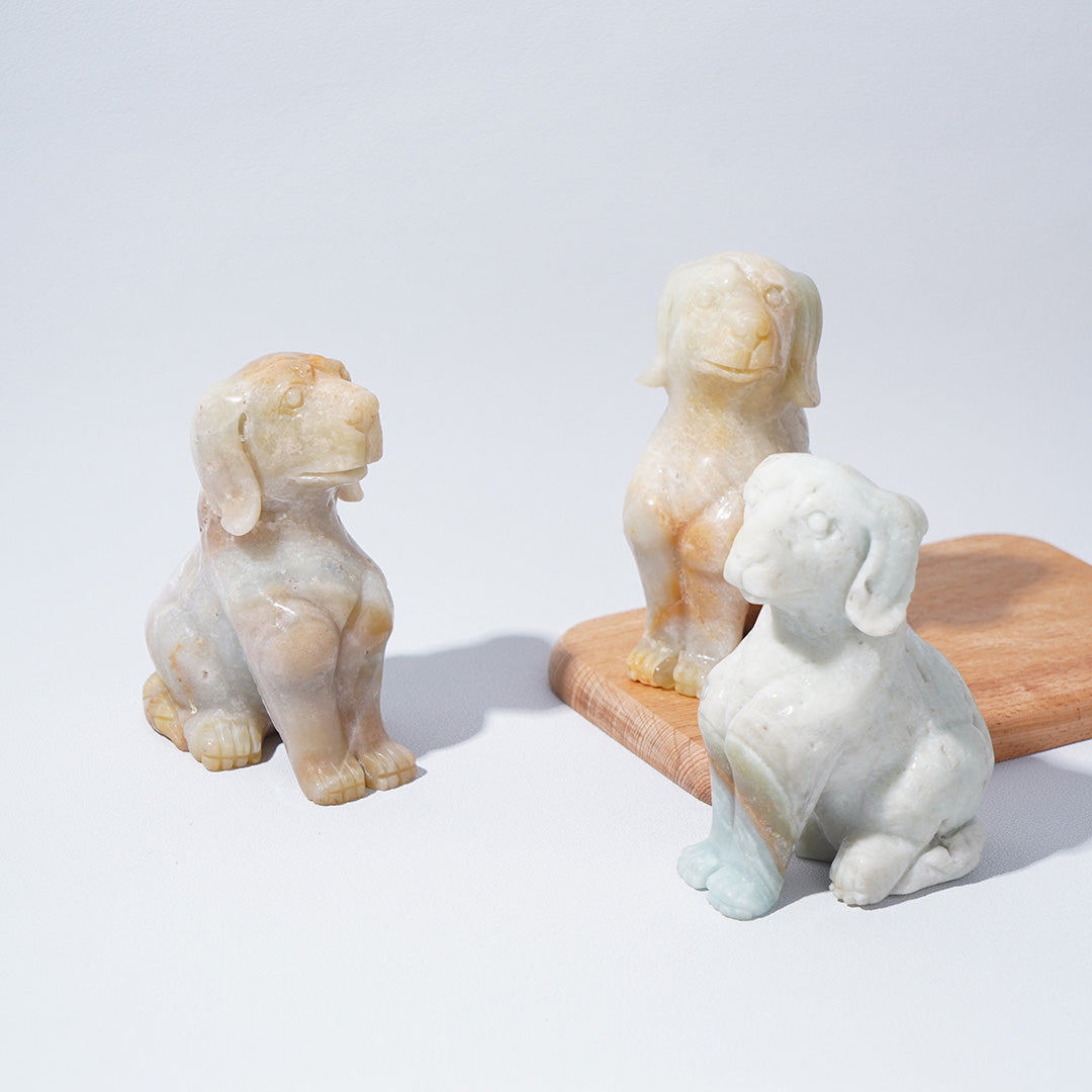 Caribbean Calcite Dogs