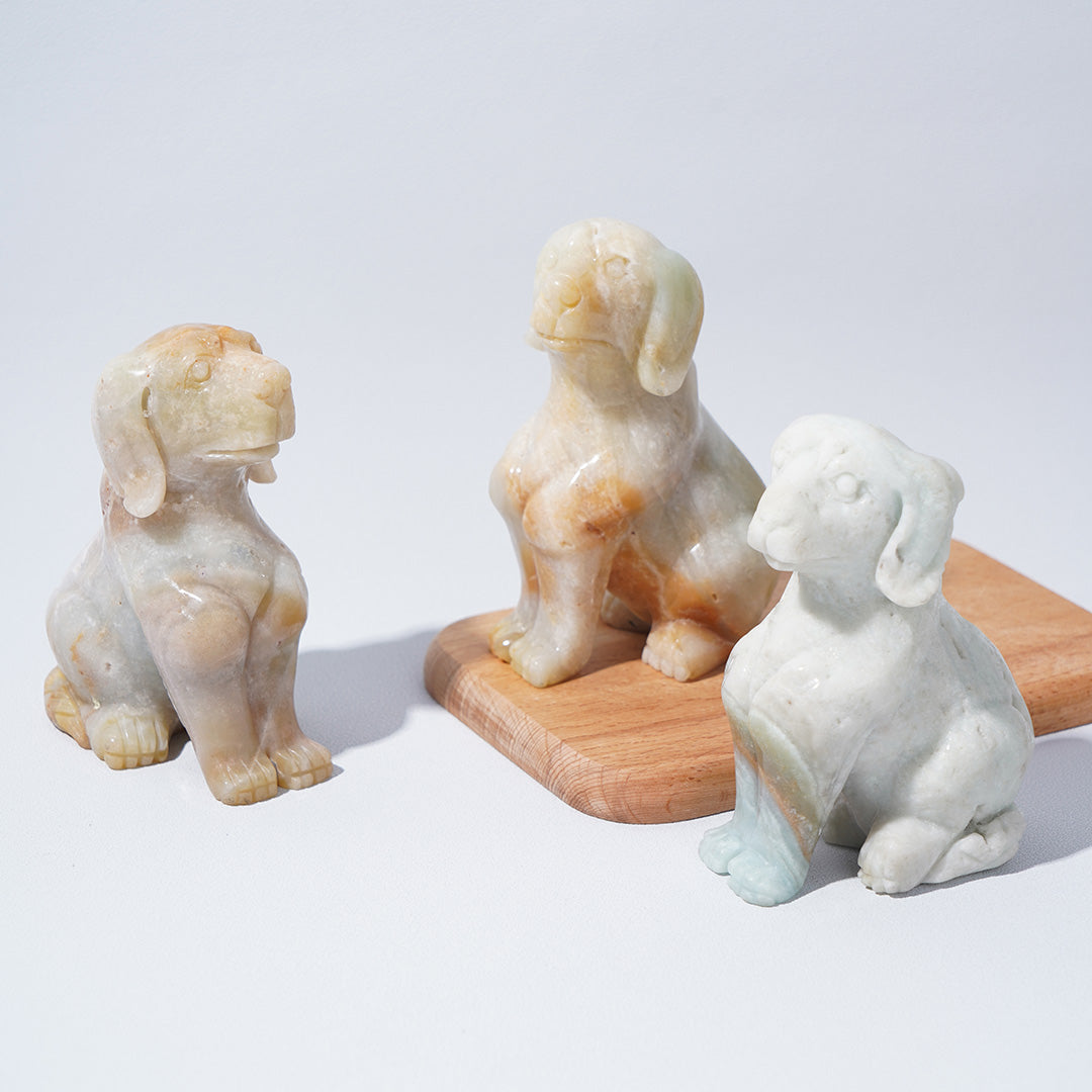 Caribbean Calcite Dogs