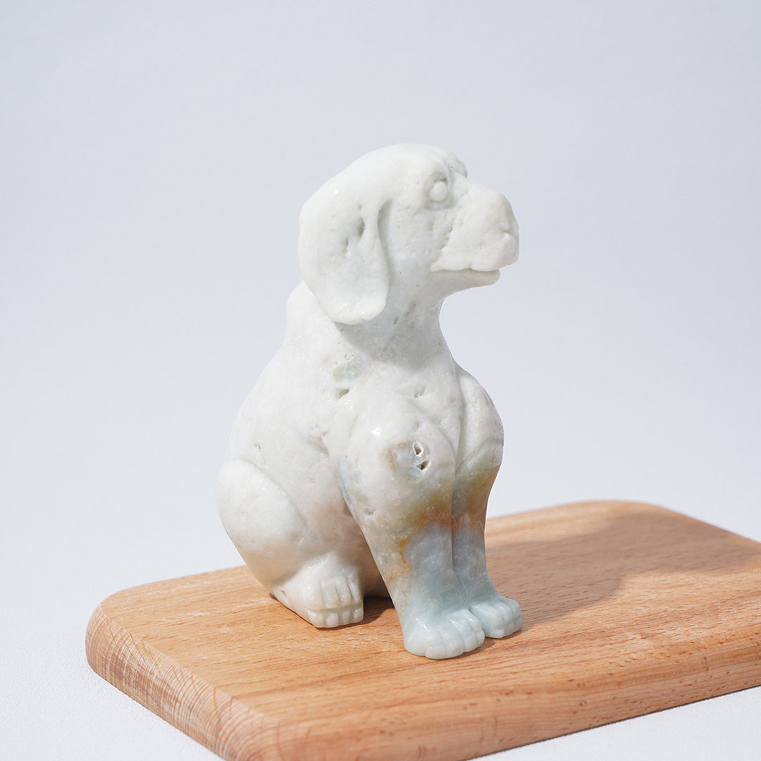 Caribbean Calcite Dogs