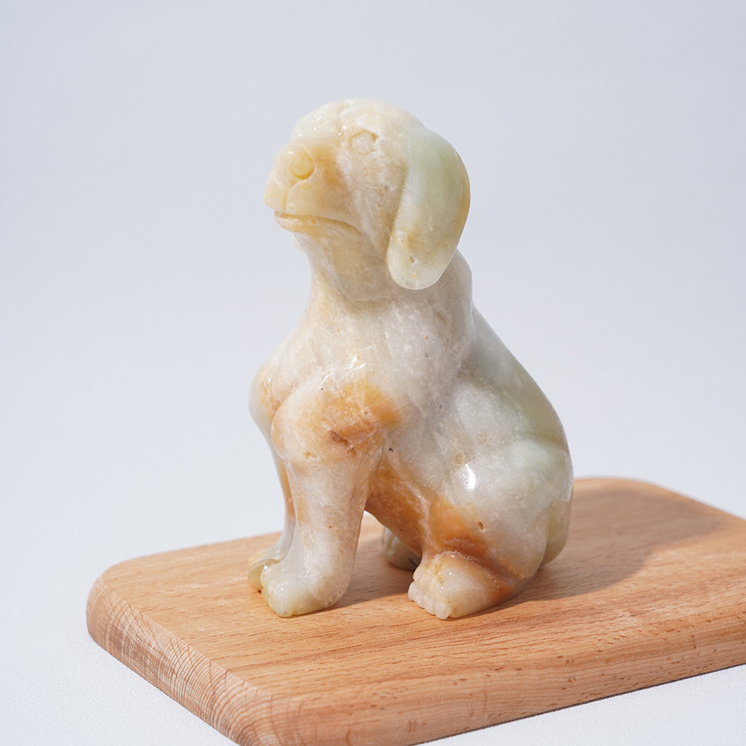 Caribbean Calcite Dogs