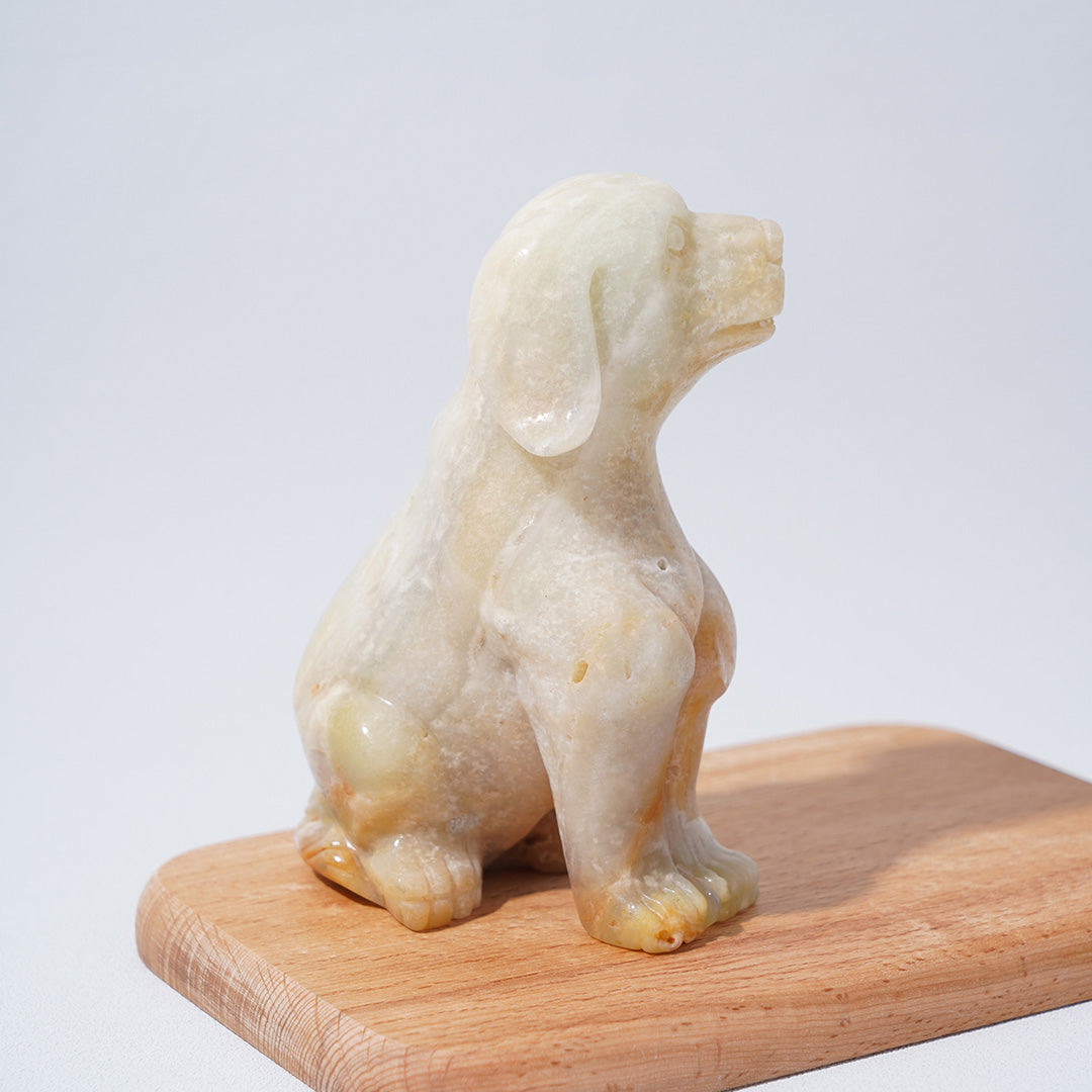 Caribbean Calcite Dogs