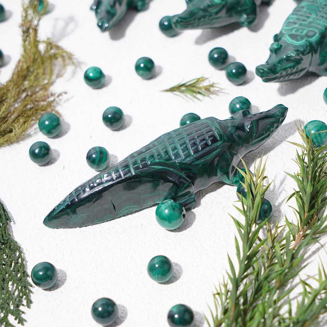 Green Malachite crocodile
