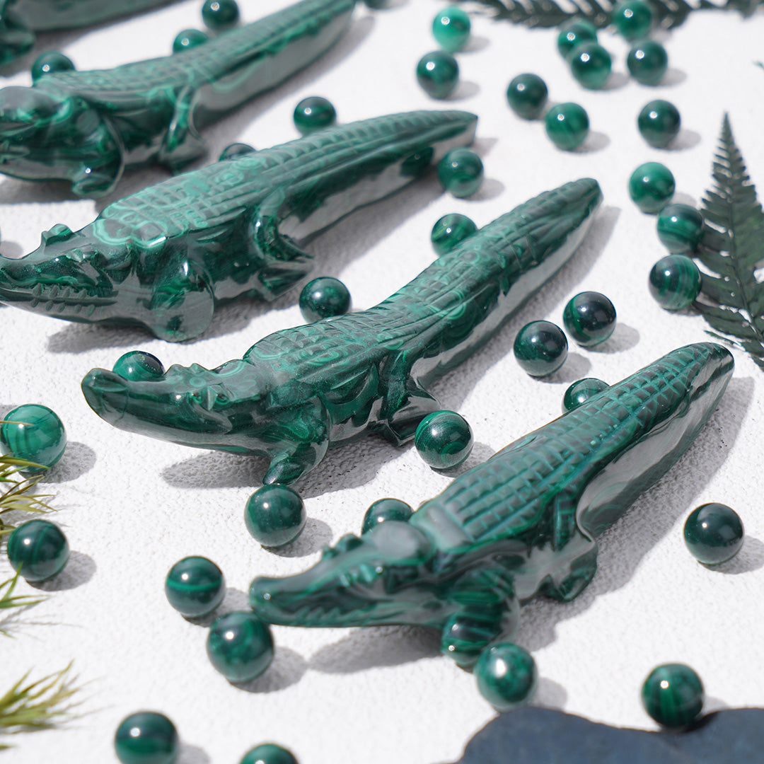 Green Malachite crocodile