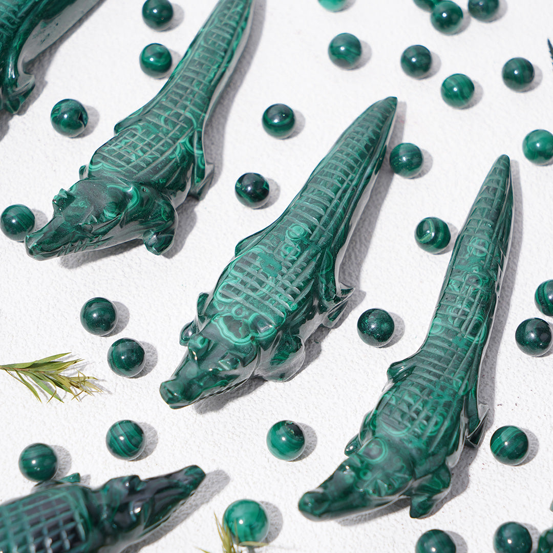 Green Malachite crocodile