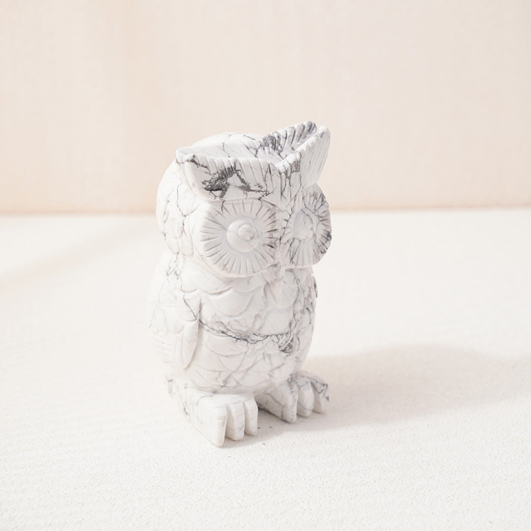 Exquisite Owl Howlite