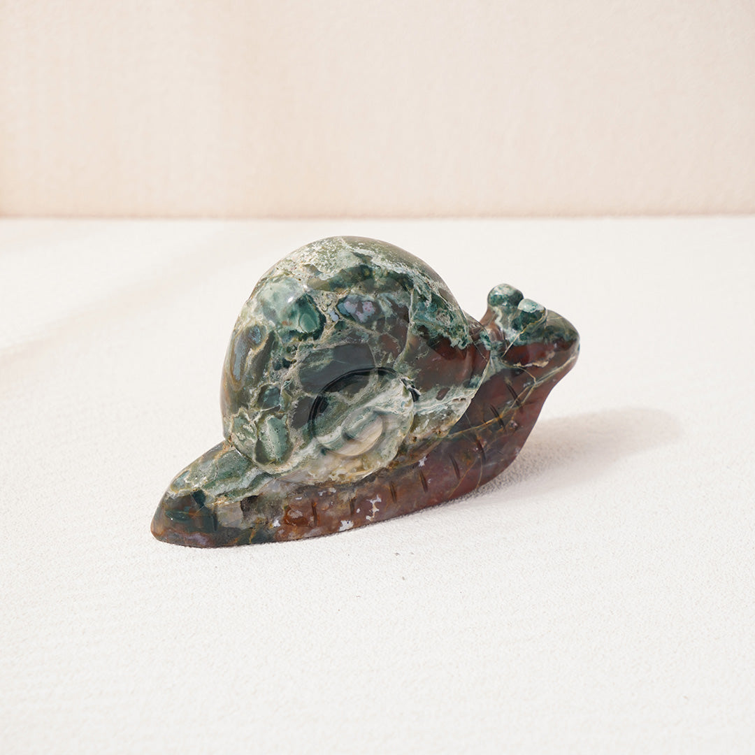 Snail Ocean Agate Carving