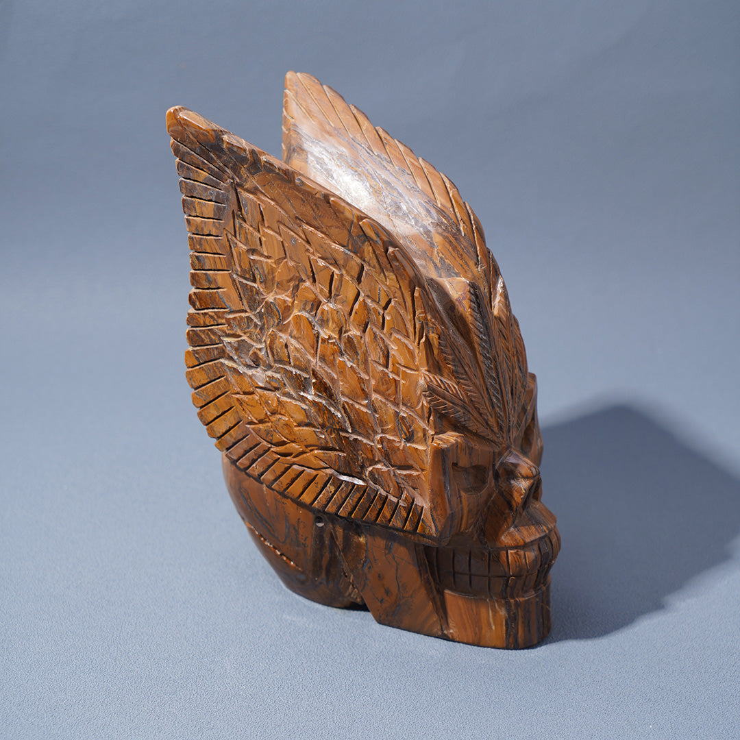 Preorder Tiger eye skull