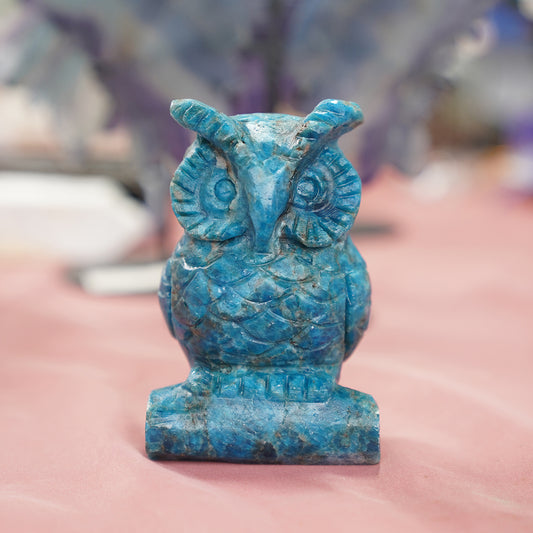 Owl Bear Blue Apitate Crystal Carving Stone animals