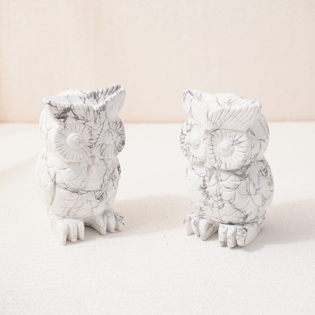 Exquisite Owl Howlite