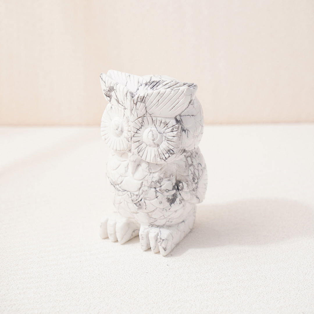 Exquisite Owl Howlite